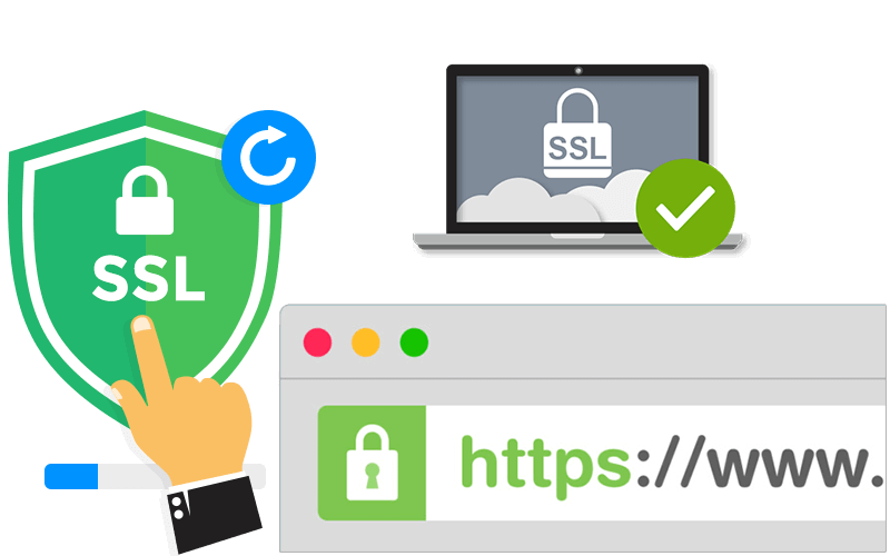 SSL Post Contact header Media4now | Webdevelopment voor webdesing en hosting✅ , Webdesign, webdesign Tiel, Media4now, Webdevelopment Tiel, Seo optimalisatie